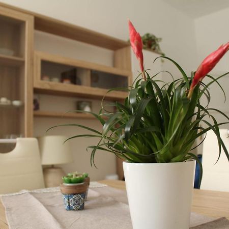 Ohana: Casa Nel Centro Di Lecce Eksteriør billede