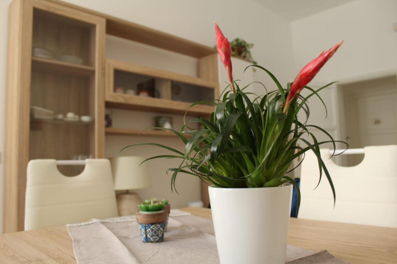 Ohana: Casa Nel Centro Di Lecce Eksteriør billede